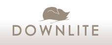 Downlite Logo